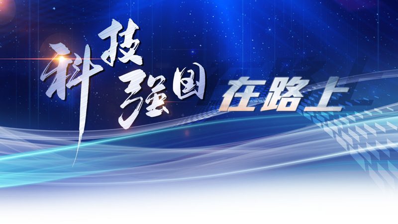 芯片设计：外包与自研的差异化考量